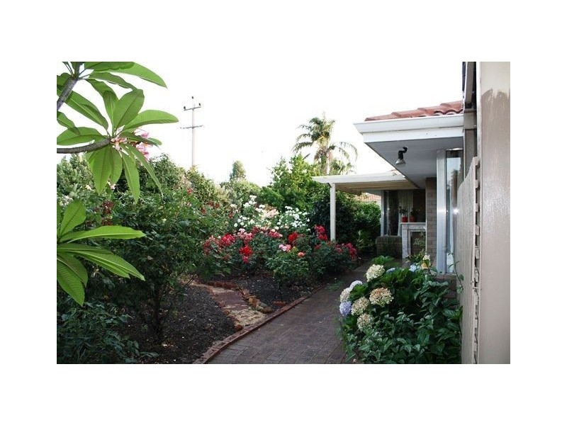 25 Pinetree Gully Road, Willetton WA 6155