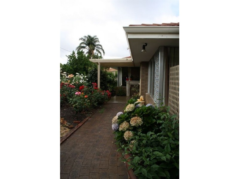 25 Pinetree Gully Road, Willetton WA 6155