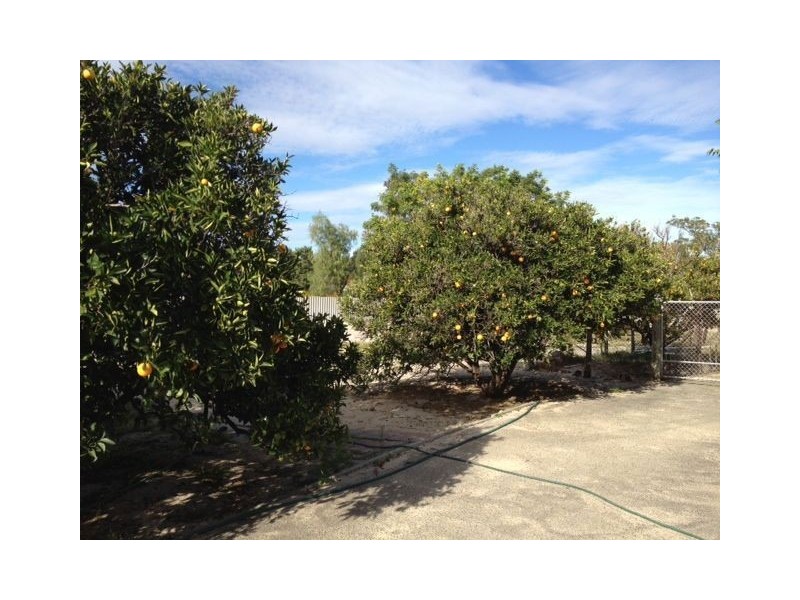 167 Crandon St, Gosnells WA 6110