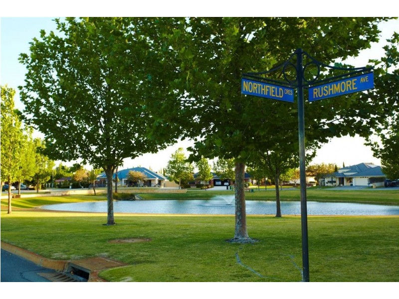 3 Northfield Crescent, Canning Vale WA 6155