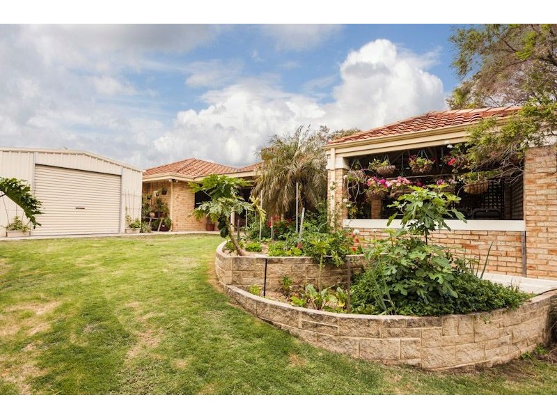 1 Everglades Close, Bibra Lake WA 6163