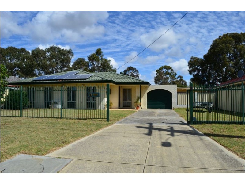 12 Brumby Place, Armadale WA 6112