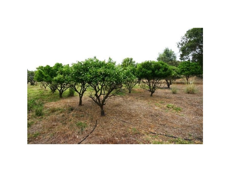 1170 Anketell Road, Mount Helena WA 6082