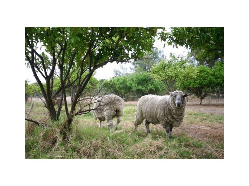 1170 Anketell Road, Mount Helena WA 6082