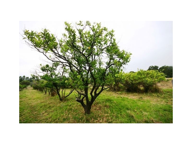 1170 Anketell Road, Mount Helena WA 6082