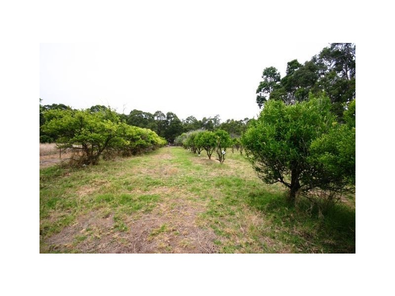 1170 Anketell Road, Mount Helena WA 6082