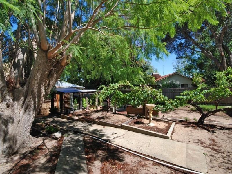 118 Clifton Road, Kelmscott WA 6111