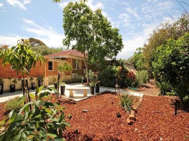 78 Williamson Avenue, Belmont WA 6104