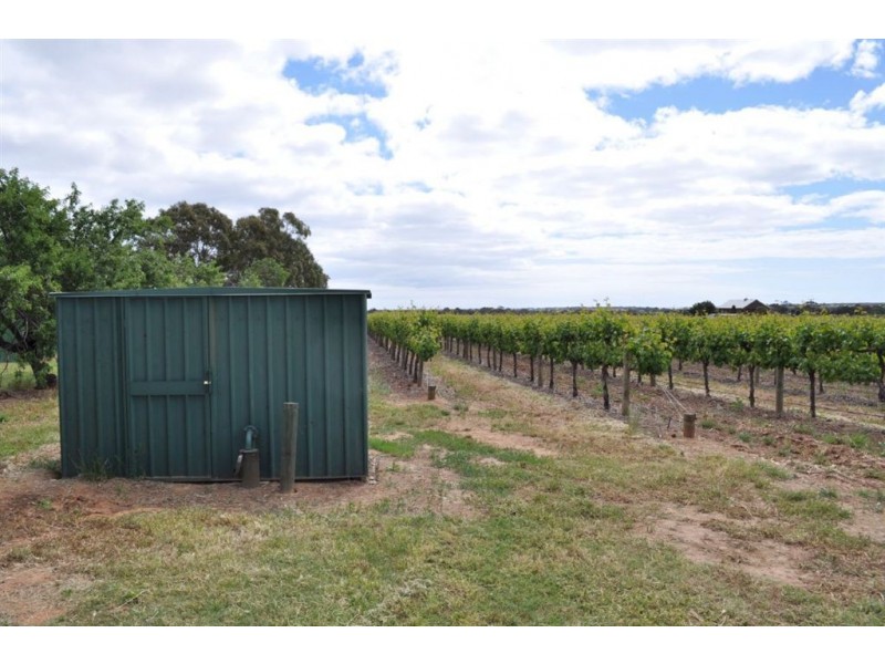 Lot 1 Almond Grove Road, Willunga SA 5172
