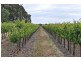 Lot 1 Almond Grove Road, Willunga SA 5172