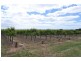 Lot 1 Almond Grove Road, Willunga SA 5172