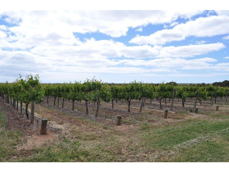 Lot 1 Almond Grove Road, Willunga SA 5172