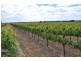 Lot 1 Almond Grove Road, Willunga SA 5172