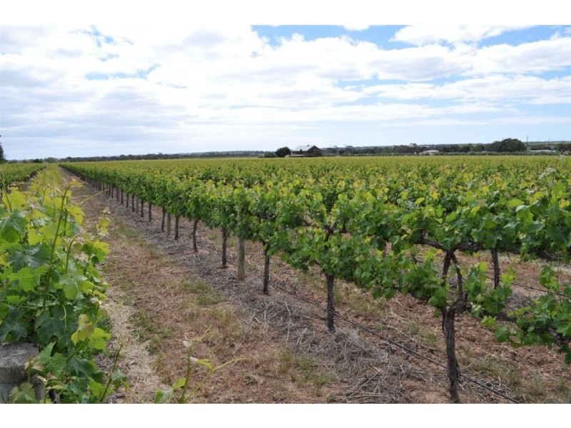Lot 1 Almond Grove Road, Willunga SA 5172