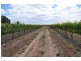 Lot 1 Almond Grove Road, Willunga SA 5172
