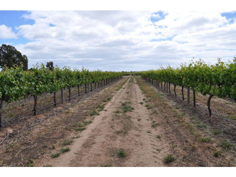 Lot 1 Almond Grove Road, Willunga SA 5172