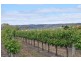 Lot 1 Almond Grove Road, Willunga SA 5172