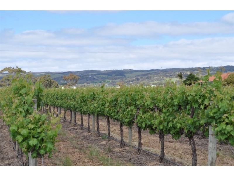 Lot 1 Almond Grove Road, Willunga SA 5172