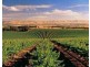 Lot 88 Clematis Walk, Aldinga SA 5173