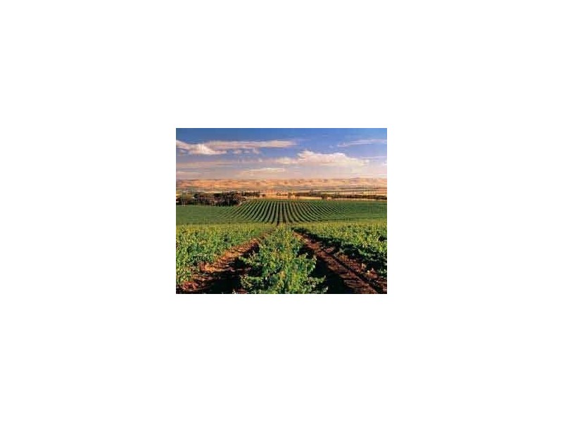Lot 88 Clematis Walk, Aldinga SA 5173