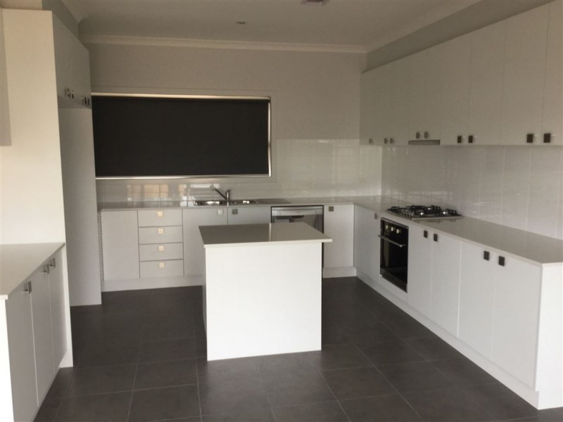 41 Glenfine Avenue, Hamlyn Heights VIC 3215