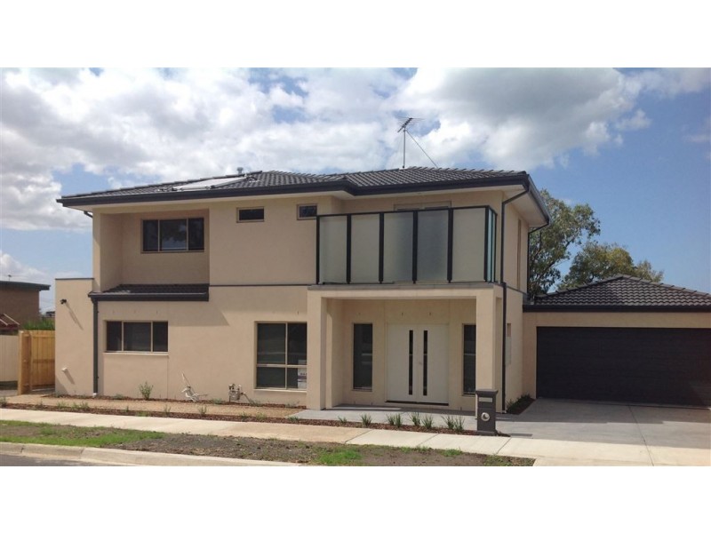 41 Glenfine Avenue, Hamlyn Heights VIC 3215