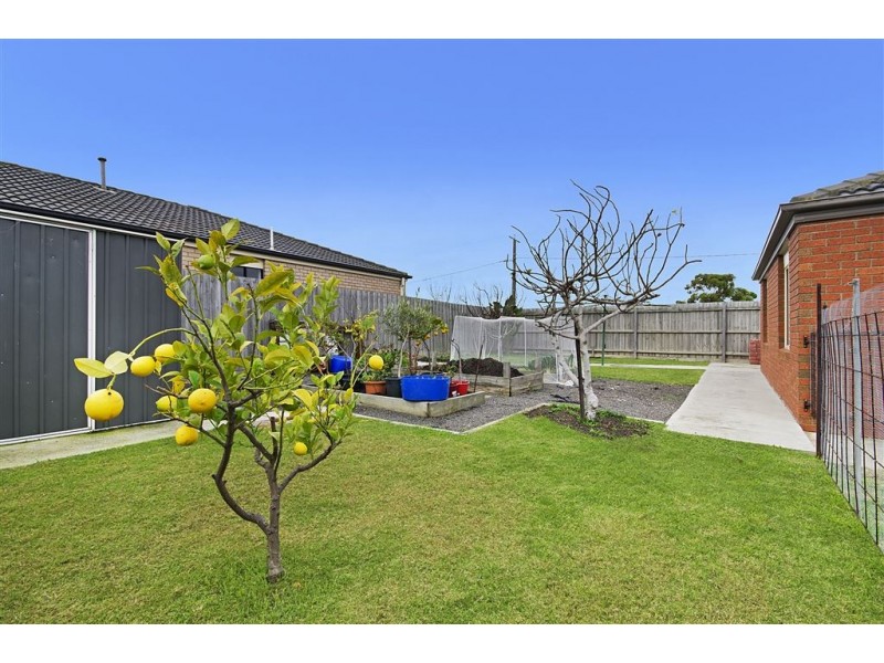 2 Browallia Drive, Corio VIC 3214
