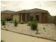 19 MacFarlane Street, Marshall VIC 3216