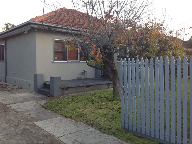 24 Walsh Grove, North Geelong VIC 3215