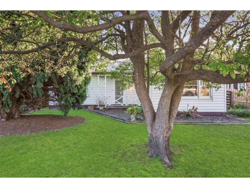 8 Vines Road, Hamlyn Heights VIC 3215