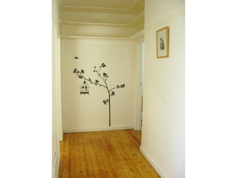 23 Pine Avenue, North Shore VIC 3214