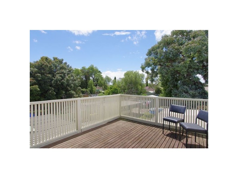 7 Pine Avenue, North Shore VIC 3214