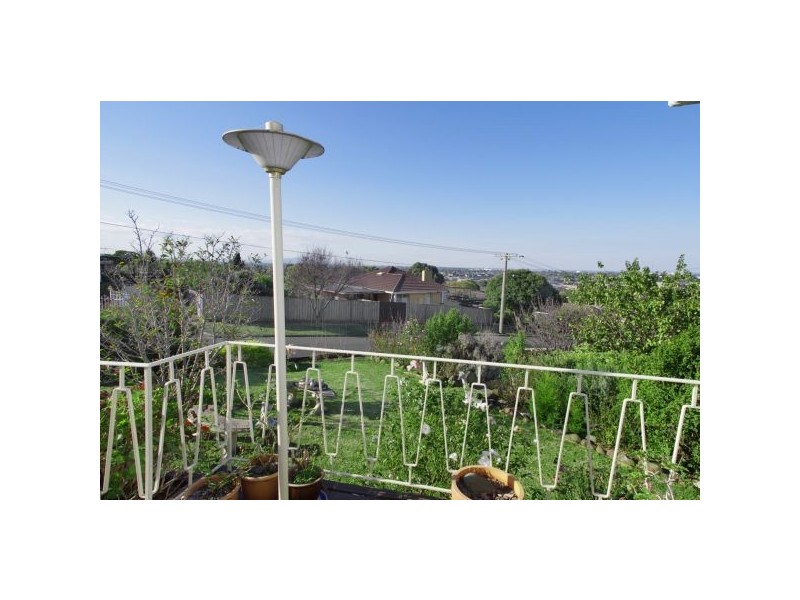 12 Peter Street, Bell Post Hill VIC 3215