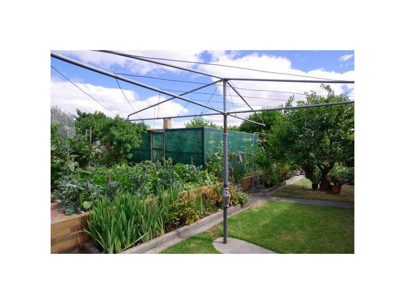 71 Walsgott Street, North Geelong VIC 3215