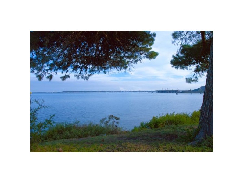 1 A Pine Avenue, North Shore VIC 3214
