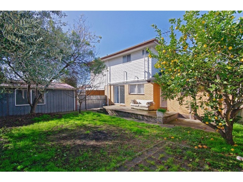 3 Anakie Road, Hamlyn Heights VIC 3215