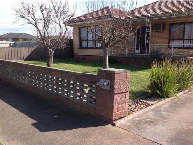 11 Enmore Street, North Geelong VIC 3215