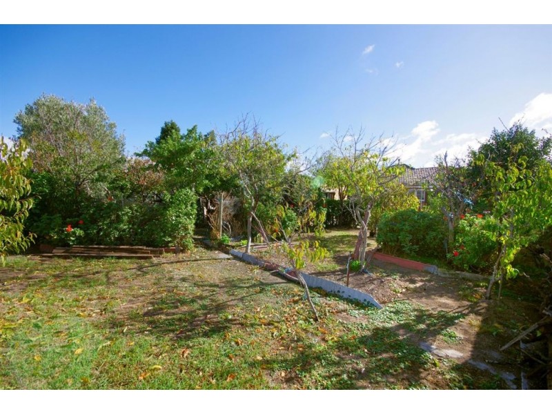 12 Walsh Grove, North Geelong VIC 3215