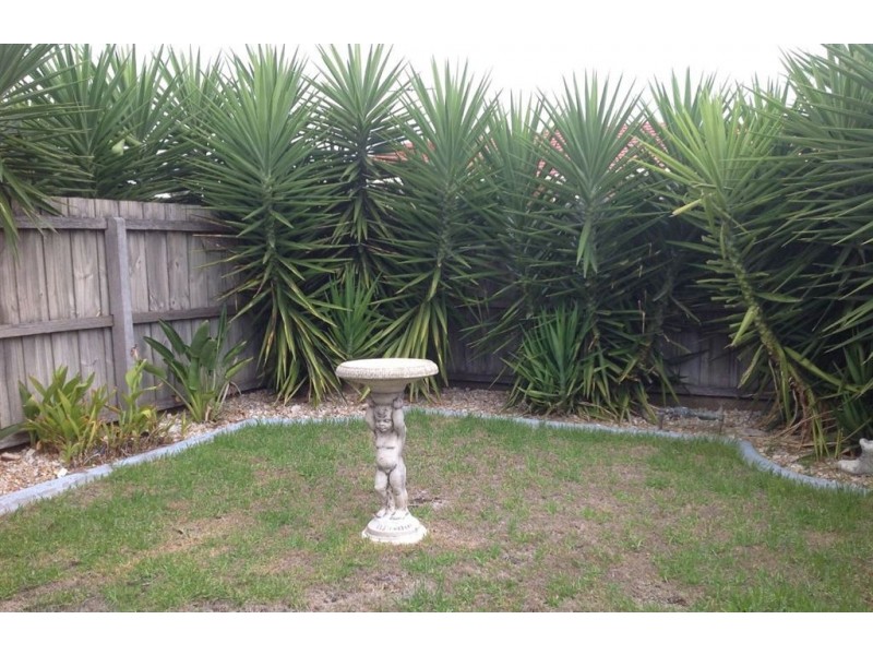 1/80 Wolseley Grove, Bell Post Hill VIC 3215