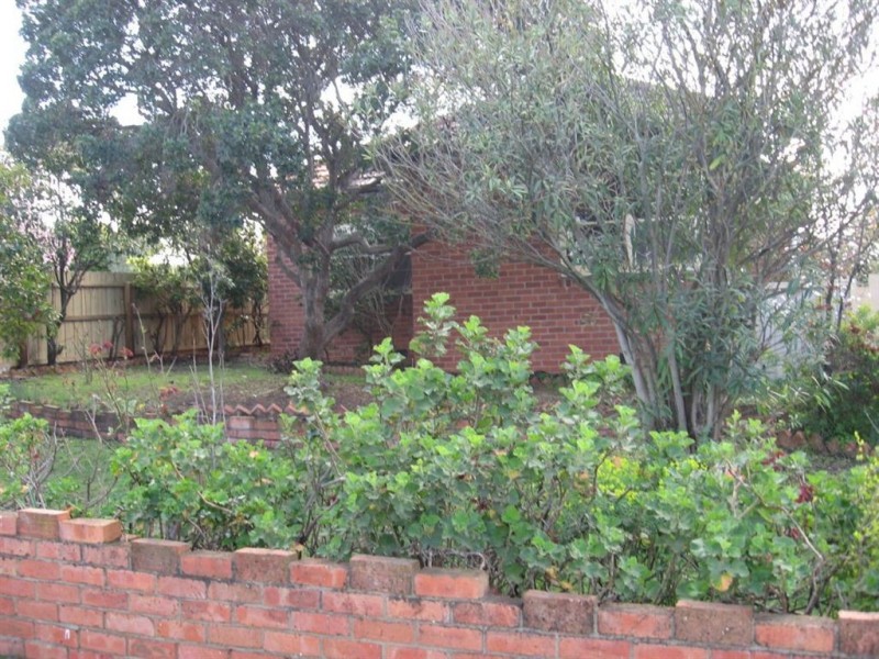 312 Church Street, Hamlyn Heights VIC 3215