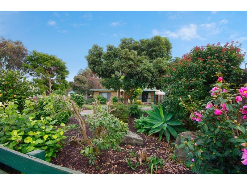 12 Kadumba Avenue, Clifton Springs VIC 3222