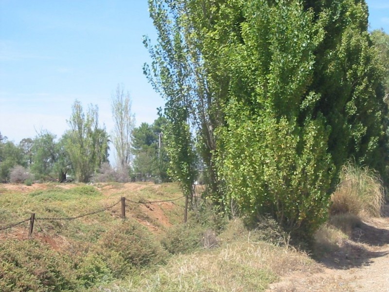 Lot 59 Heaslip Road, Burton SA 5110