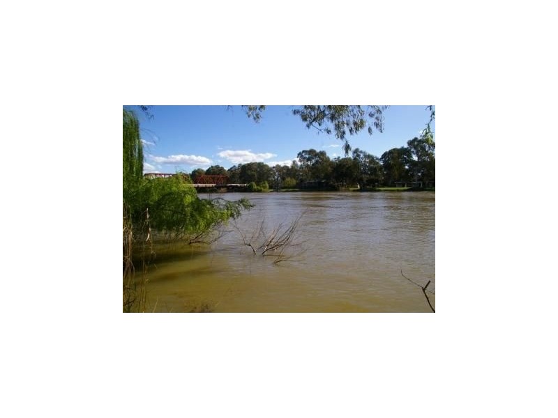 Lot/101 Museum Drive, Paringa SA 5340