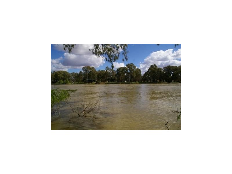 Lot/101 Museum Drive, Paringa SA 5340