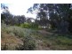 Lot/101 Museum Drive, Paringa SA 5340
