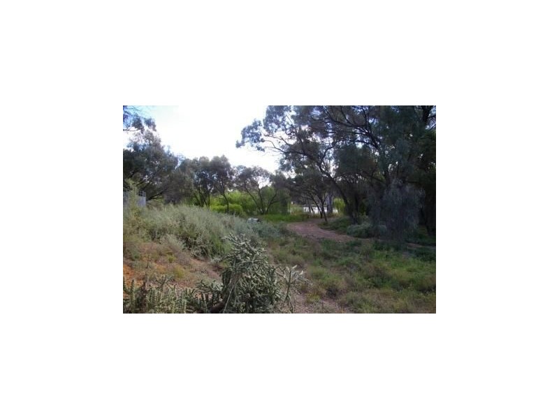 Lot/101 Museum Drive, Paringa SA 5340
