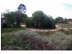 Lot/101 Museum Drive, Paringa SA 5340