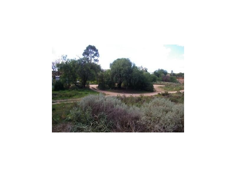Lot/101 Museum Drive, Paringa SA 5340