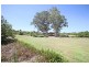 Harrington Park NSW 2567