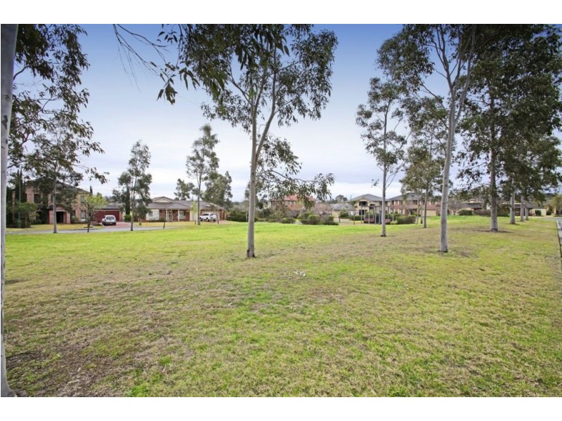 20 Lincoln Grove, Harrington Park NSW 2567